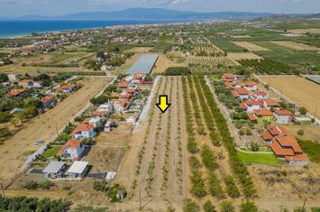 Teren 4972 mp, Paralia Orfaniou, 700 m de mare anunturi imobiliare Grecia