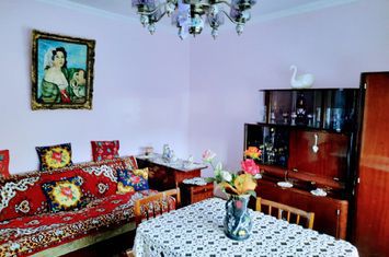 Ilia, proprietate deosebita anunturi imobiliare Hunedoara