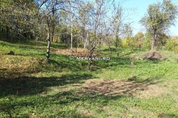 TEREN INTRAVILAN BREBU anunturi imobiliare Prahova