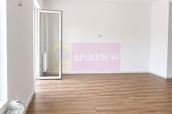 Duplex 4 camere , curte 250 mp, renovat 2025 — Mogoșoaia anunturi imobiliare Bucuresti