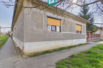 Casă cu 3 camere din văiugă în Macea anunturi imobiliare Arad