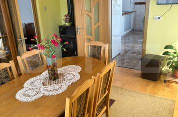 Vilă - 7 camere de vanzare DEJ - Cluj anunturi imobiliare Cluj