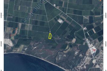 Teren 11.205 mp în Keramoti Nestos anunturi imobiliare Grecia