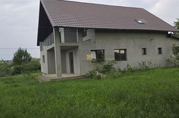 Vilă - 5 camere de vanzare MITOCU DRAGOMIRNEI - Suceava anunturi imobiliare Suceava
