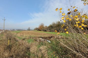 Teren de vanzare URSATI - Gorj anunturi imobiliare Gorj