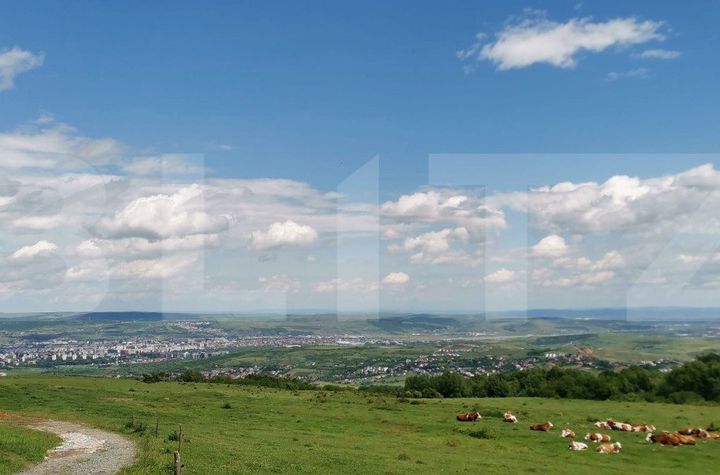 Teren de vanzare FELEACU - Cluj anunturi imobiliare Cluj