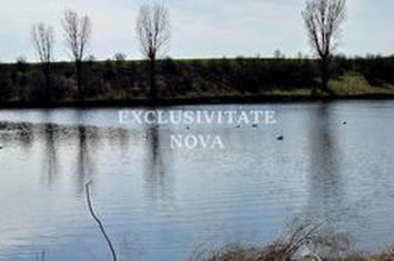 Teren INTRAVILAN pe malul Lacului Moara Domneasca Ganeasa deschidere la apa anunturi imobiliare Bucuresti