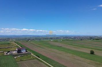 Teren Intravilan de vanzare PERIFERIE - Suceava anunturi imobiliare Suceava