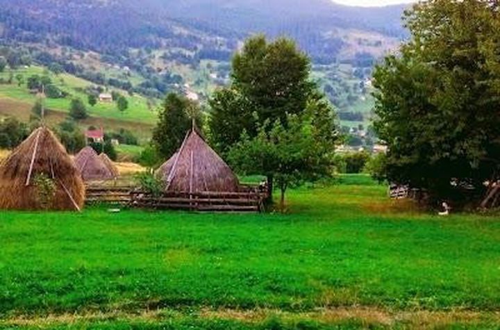 Teren de vanzare ROGOJEL - Cluj anunturi imobiliare Cluj