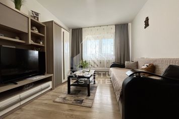 Apartament cu o camera, decomandat, mobilat si utilat, Giroc anunturi imobiliare Timis