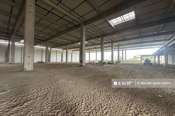 Spațiu industrial de inchiriat OTOPENI - Bucuresti anunturi imobiliare Bucuresti