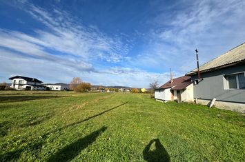 Teren de vanzare BOZANTA MARE - Maramures anunturi imobiliare Maramures