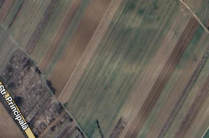 Teren de vanzare COSOVENI - Dolj anunturi imobiliare Dolj