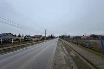 Teren de vanzare TIGANASI - Iasi anunturi imobiliare Iasi