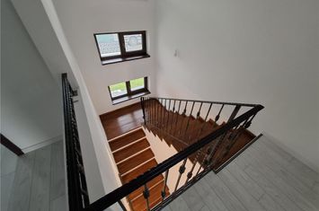 Vilă - 4 camere de inchiriat POPAS PACURARI - Iasi anunturi imobiliare Iasi