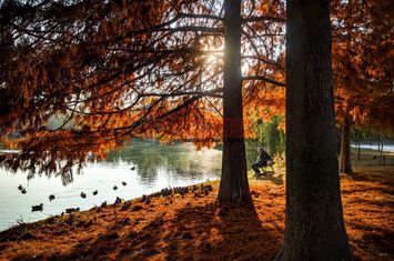 Parcul Carol - Tineretului - 2 camere si 40mp curte anunturi imobiliare Bucuresti