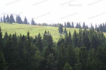 Teren de vânzare în Predeal (zona Forban) anunturi imobiliare Brasov
