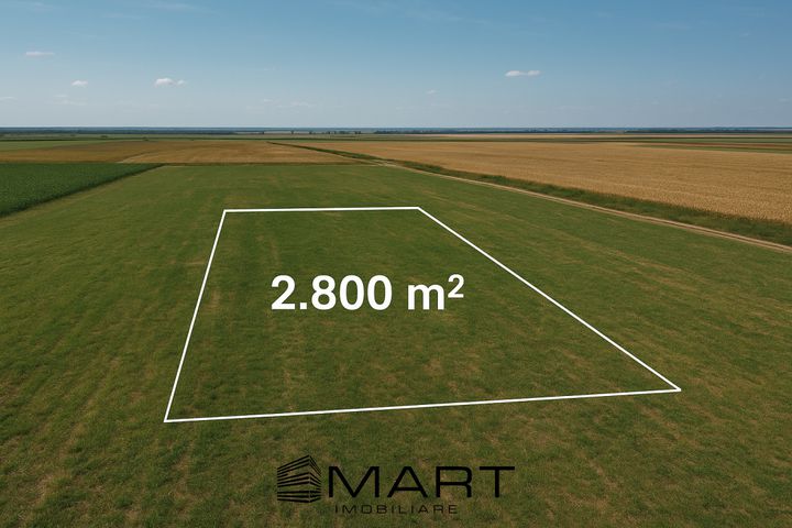 Teren de vanzare DAIA ROMANA - Alba anunturi imobiliare Alba