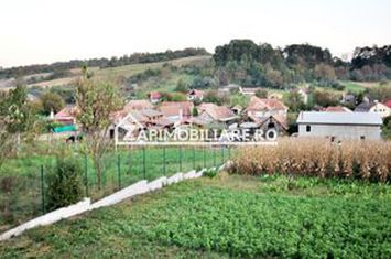 De vanzare 2 case cu 4.900 mp teren, Livezeni 0% comision anunturi imobiliare Mures