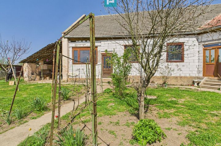 Casă cu Grădină Mare la 30 km de Timișoara anunturi imobiliare Timis