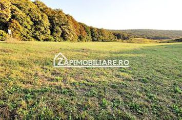 De vanzare 2 terenuri de 29.500 mp si 1.400 mp.29 euro mp anunturi imobiliare Mures