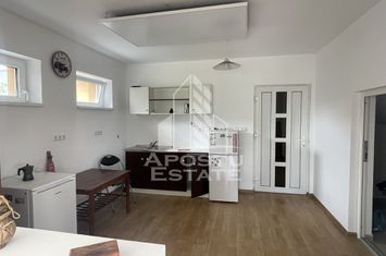 Casa individuala Sanmihaiu Roman cu garaj anunturi imobiliare Timis