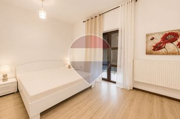 Vilă Duplex cu 6 camere , de închiriat, în Vișan anunturi imobiliare Iasi