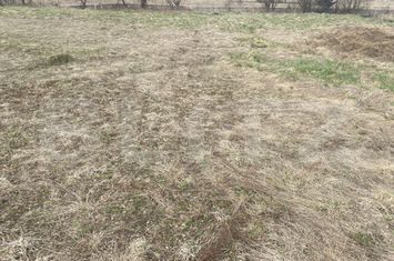 Teren de vanzare SUCEAVA - Suceava anunturi imobiliare Suceava