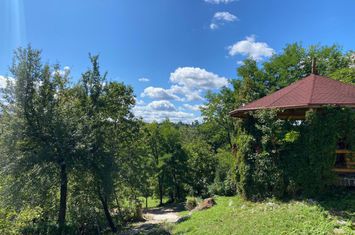 Casă - 6 camere de vanzare CARBUNARI - Maramures anunturi imobiliare Maramures