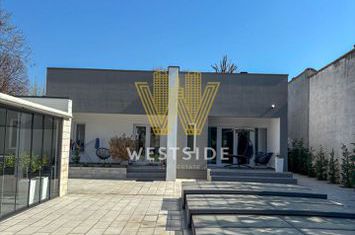 Vila impresionanta de vanzare, zona Lunei anunturi imobiliare Timis