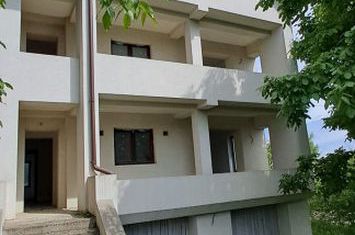 Vilă - 11 camere de vanzare VALEA LUPULUI - Iasi anunturi imobiliare Iasi