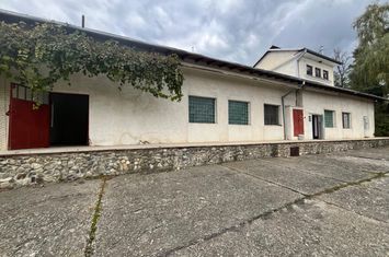 Spațiu comercial de inchiriat RADAUTI - Suceava anunturi imobiliare Suceava