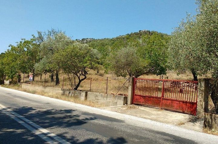 Teren construibil 4.950 mp pe drumul Potos - Theologos anunturi imobiliare Grecia