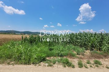 Teren de vanzare BALESTI - Gorj anunturi imobiliare Gorj