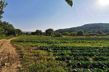 Teren de vanzare SIBIU - Sibiu anunturi imobiliare Sibiu