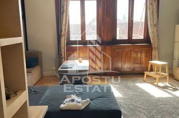 Apartament cu o camera in centul orasului,centrala proprie!!! anunturi imobiliare Timis