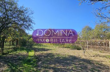 Teren de vanzare TARGU-JIU - Gorj anunturi imobiliare Gorj