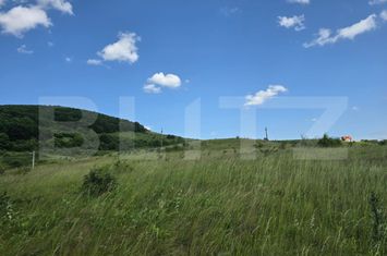Teren de vanzare CLUJ-NAPOCA - Cluj anunturi imobiliare Cluj