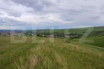 Teren de vanzare COPACENI - Cluj anunturi imobiliare Cluj
