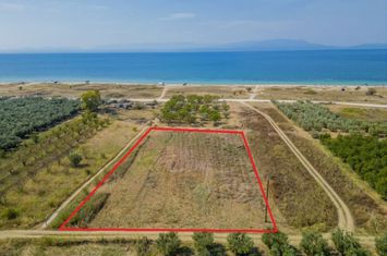 Teren 3115 mp la 80 metri de plajă, Paralia Ofriniou anunturi imobiliare Grecia