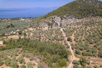 Teren 1800 mp în Skala Rachoniou, Thassos anunturi imobiliare Grecia
