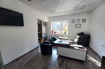 Vilă - 13 camere de vanzare BAIA MARE - Maramures anunturi imobiliare Maramures