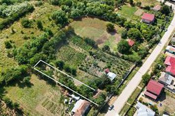 Casă  cu 3 camere de vânzare in Icuseni Victoria Iasi anunturi imobiliare Iasi