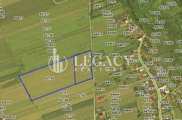 Teren pentru investiție, intravilan + extravilan, Mogoșești-Siret anunturi imobiliare Iasi