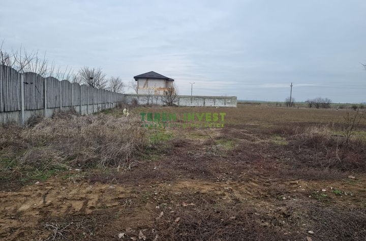 VÂNZARE TEREN INTRAVILAN 950 MP CERNICA-TÂNGANU anunturi imobiliare Bucuresti