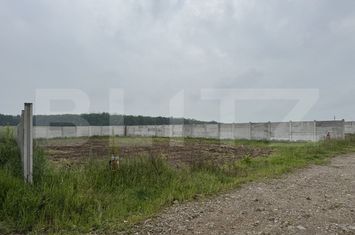 Teren de vanzare PIELESTI - Dolj anunturi imobiliare Dolj