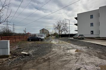 Vanzare - Teren - 600 mp - Popesti - Strada Viilor anunturi imobiliare Bucuresti