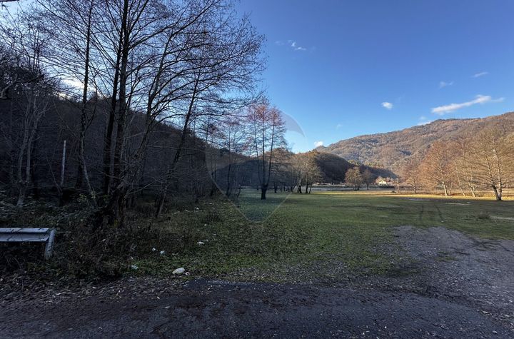 Teren 16,800mp Valea lui Stan / Strada Vultureasa anunturi imobiliare Valcea