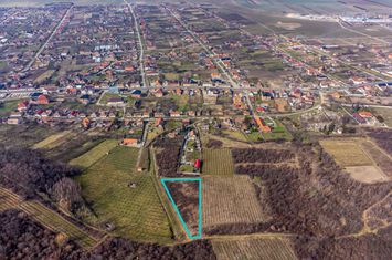 Teren în Șiria pe deal anunturi imobiliare Arad