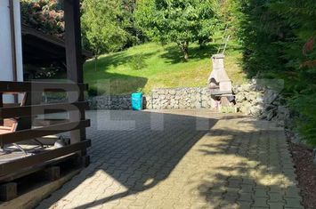 Vilă - 4 camere de inchiriat CLUJ-NAPOCA - Cluj anunturi imobiliare Cluj